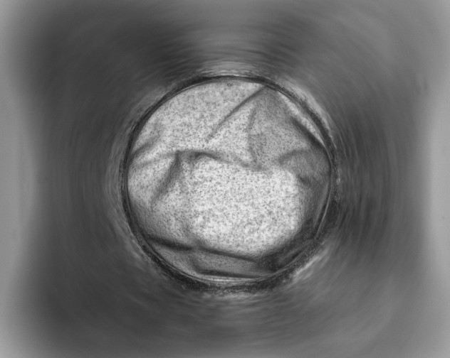 X0000093210529200710171343