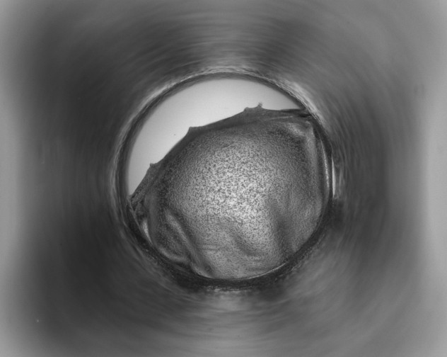 X0000093210531200710171343