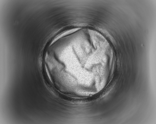 X0000093210533200710171343