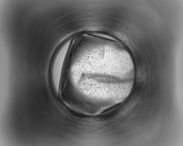 X0000093210535200710171343