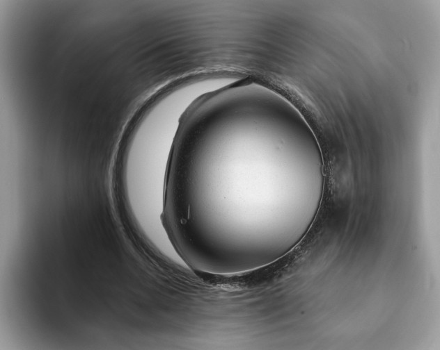 X0000093210536200710171343