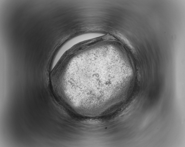 X0000093210537200710171343