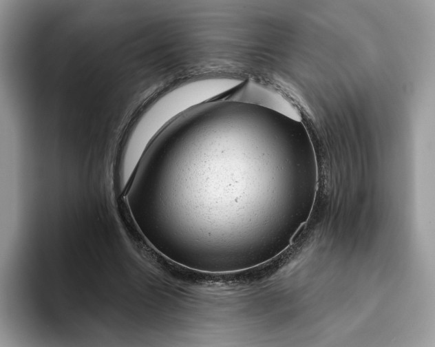 X0000093210538200710171343