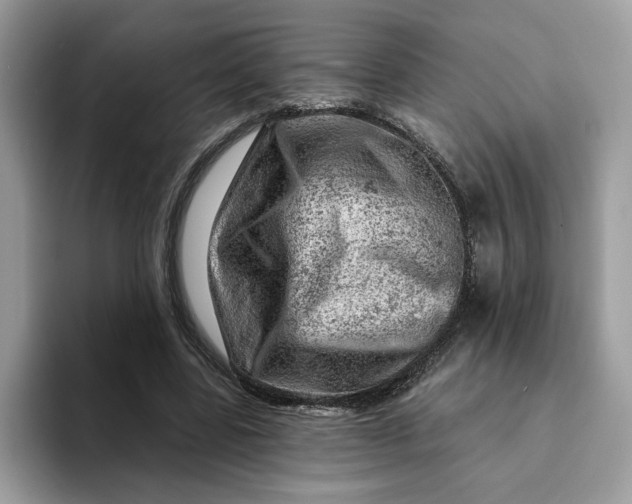 X0000093210539200710171343