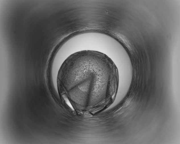 X0000093210540200710171343