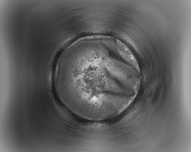 X0000093210542200710171343