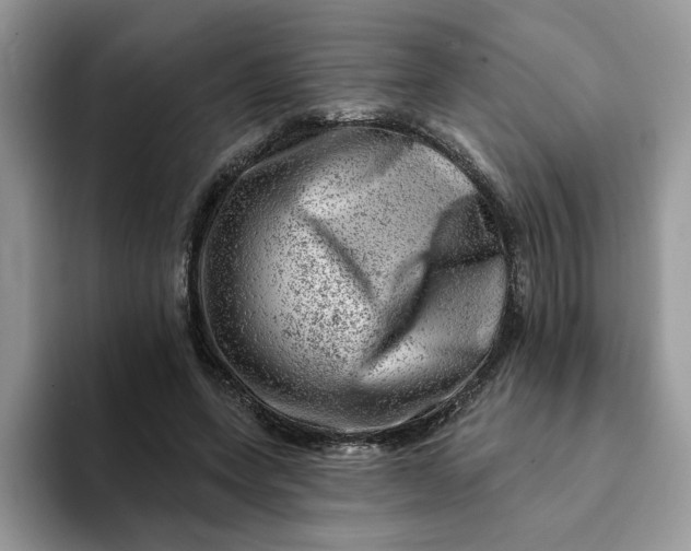 X0000093210543200710171343