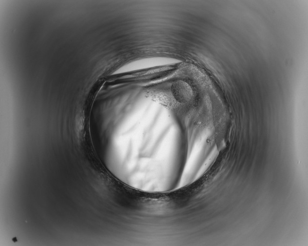 X0000093210548200710171343