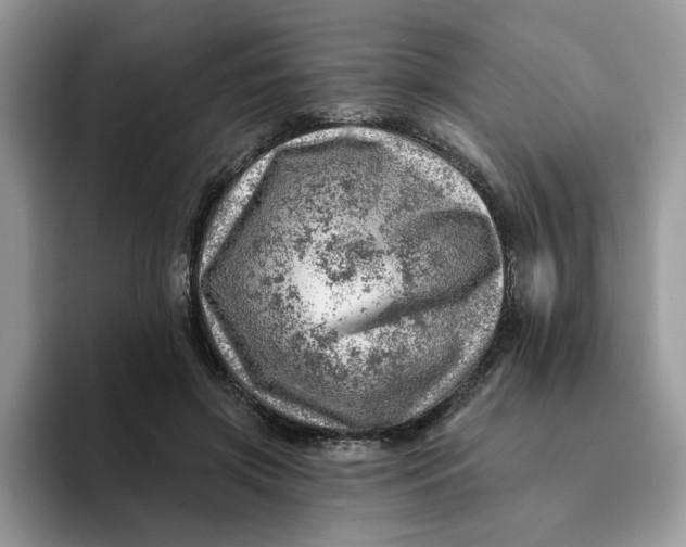 X0000093210549200710171343