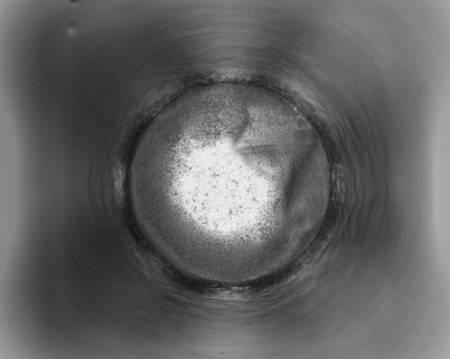 X0000093210550200710171343