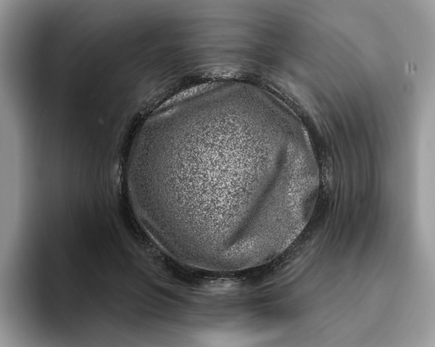 X0000093210551200710171343