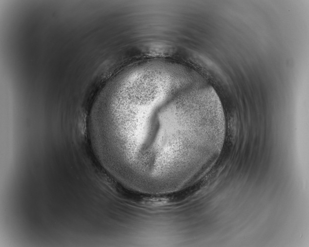 X0000093210554200710171343