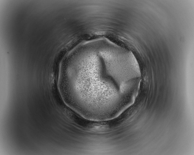 X0000093210555200710171343