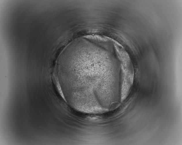 X0000093210557200710171343