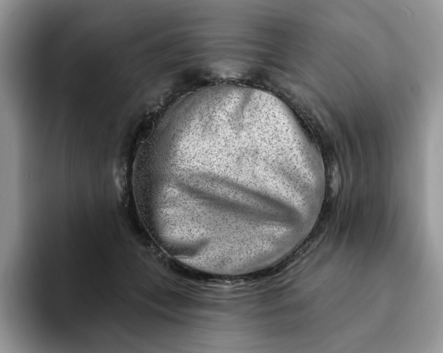 X0000093210559200710171343