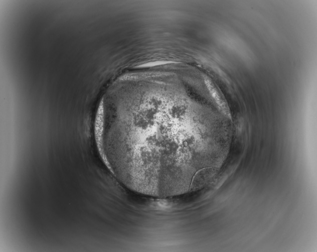 X0000093210565200710171343