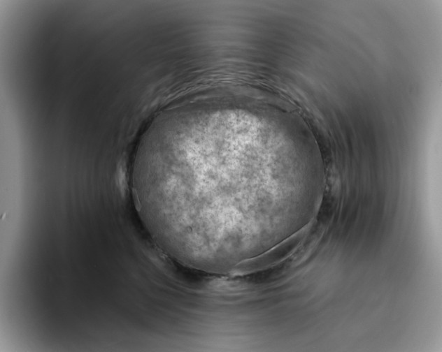 X0000093210568200710171343