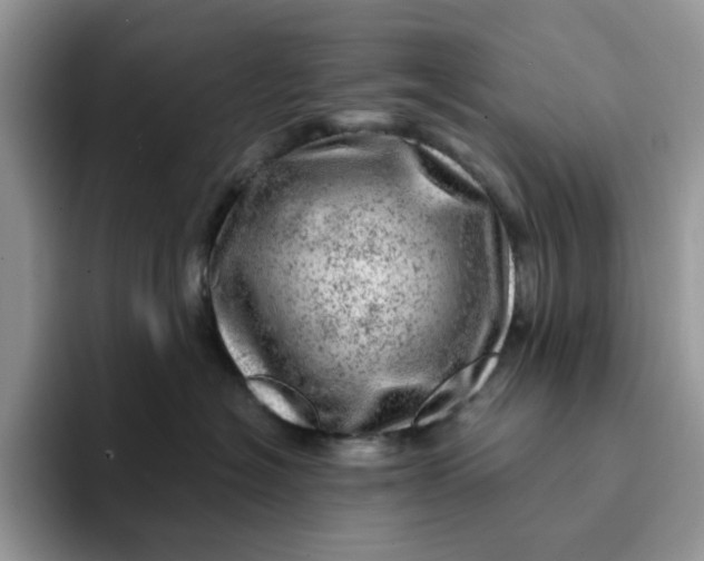 X0000093210574200710171343