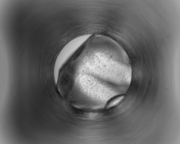 X0000093210575200710171343