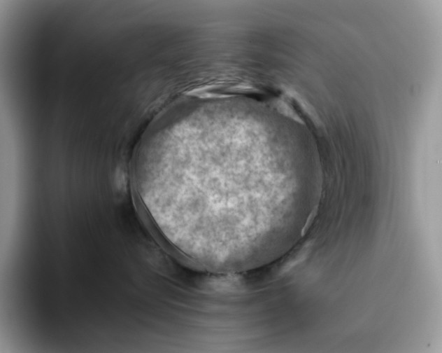 X0000093210576200710171343