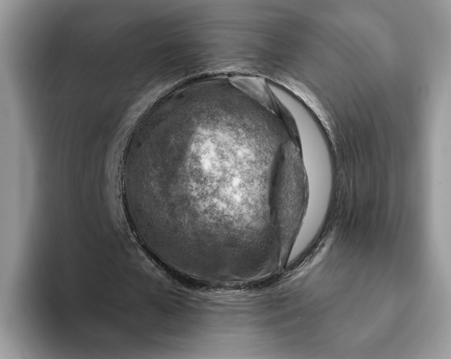 X0000093210577200710171343