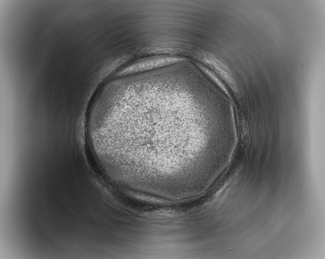 X0000093210578200710171343