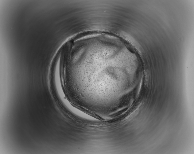 X0000093210580200710171343