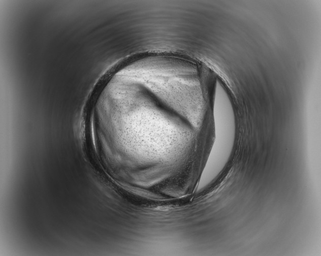 X0000093210584200710171343