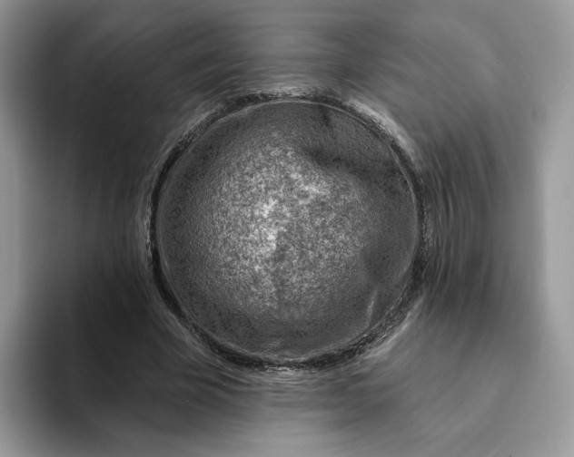 X0000093210585200710171343