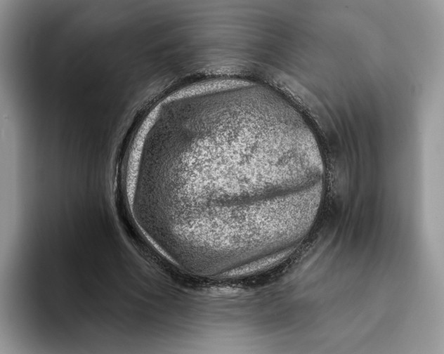 X0000093210586200710171343