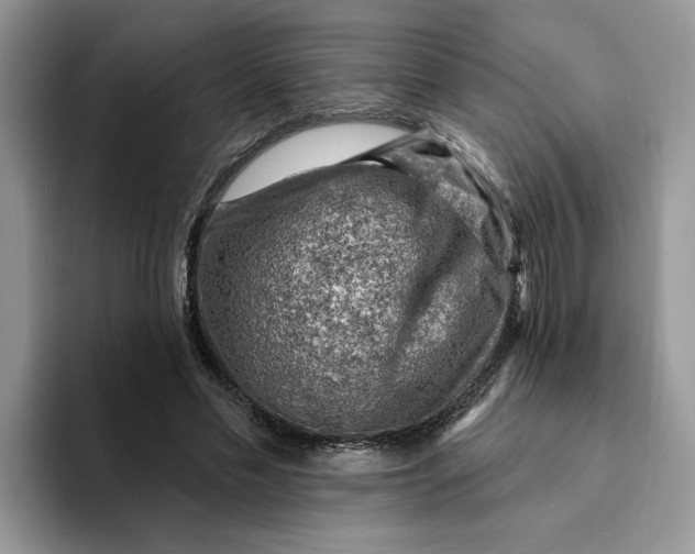 X0000093210589200710171343