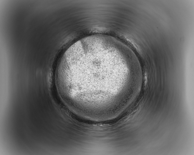 X0000093210591200710171343