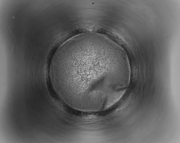 X0000093210594200710171342