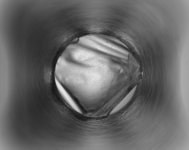 X0000093210596200710171342