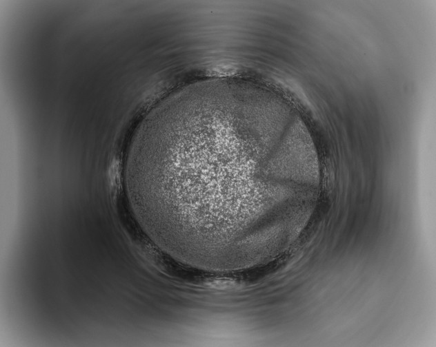 X0000093210598200710171342