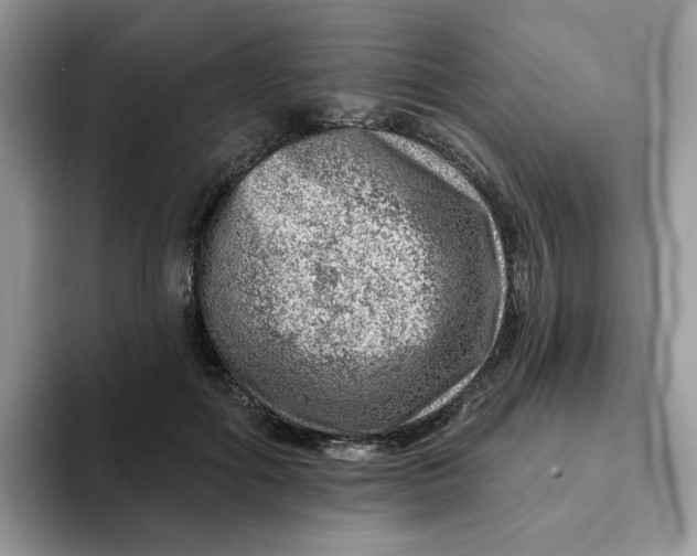 X0000093210602200710171342