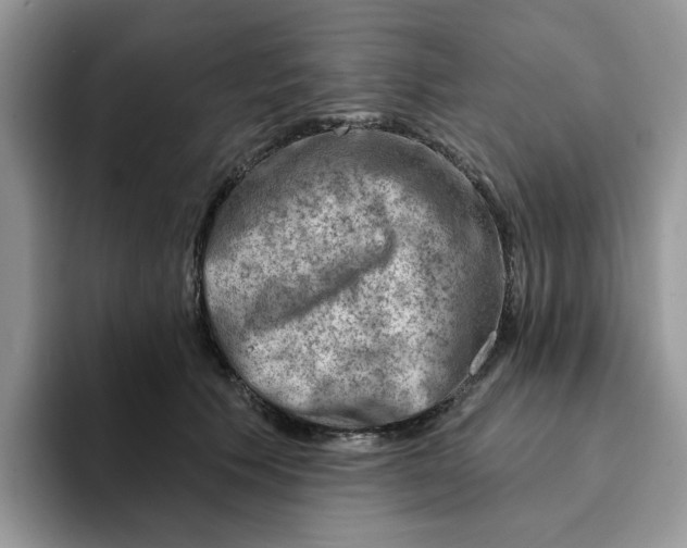 X0000093210609200710171342