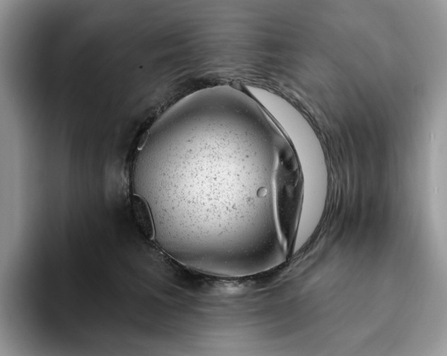 X0000093210613200710171342