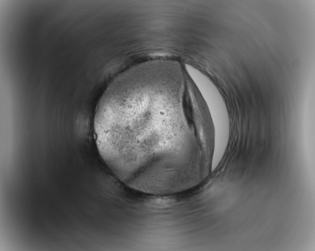 X0000093210619200710171342