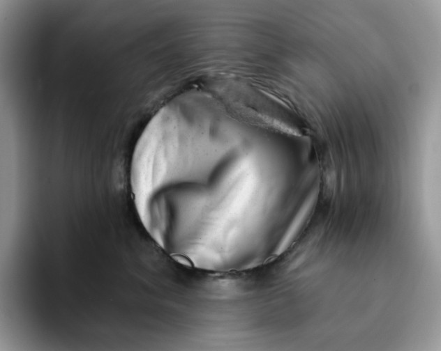 X0000093210620200710171342