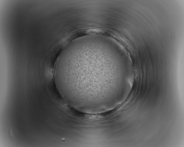 X0000093210621200710171342