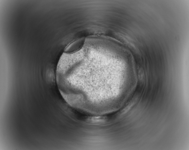 X0000093210622200710171342