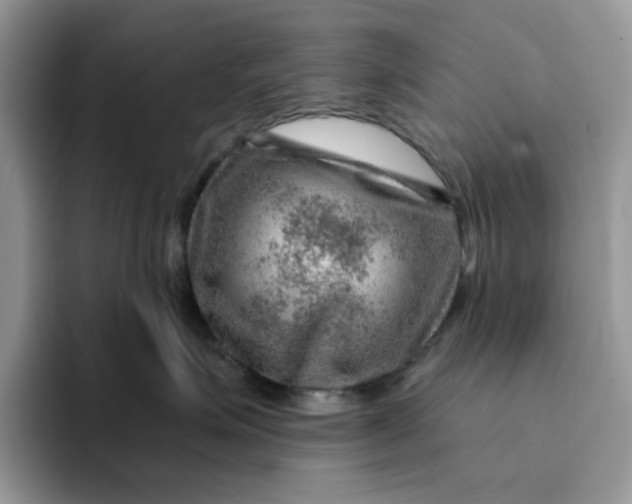 X0000093210623200710171342