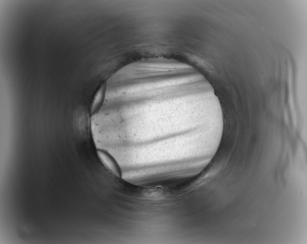 X0000093210624200710171342