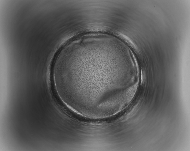 X0000093210627200710171342