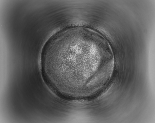 X0000093210630200710171342