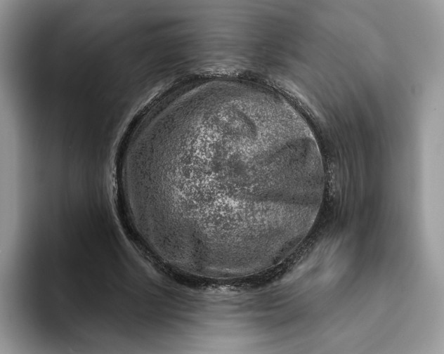 X0000093210634200710171342