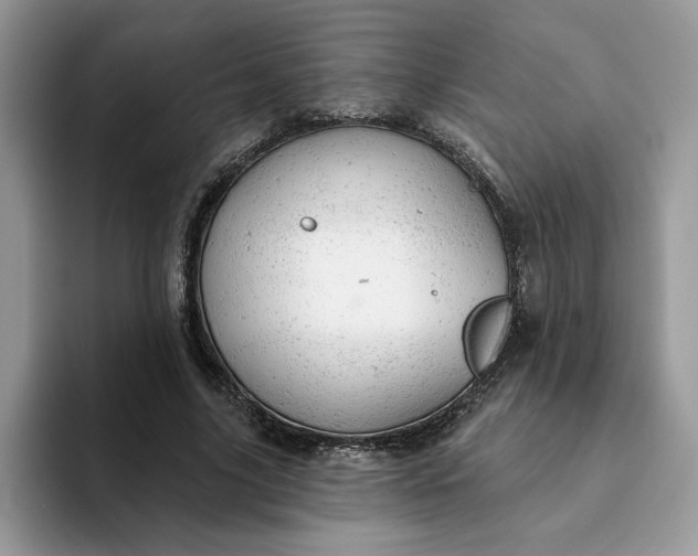 X0000093210635200710171342