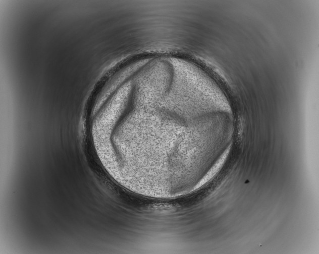 X0000093210636200710171342