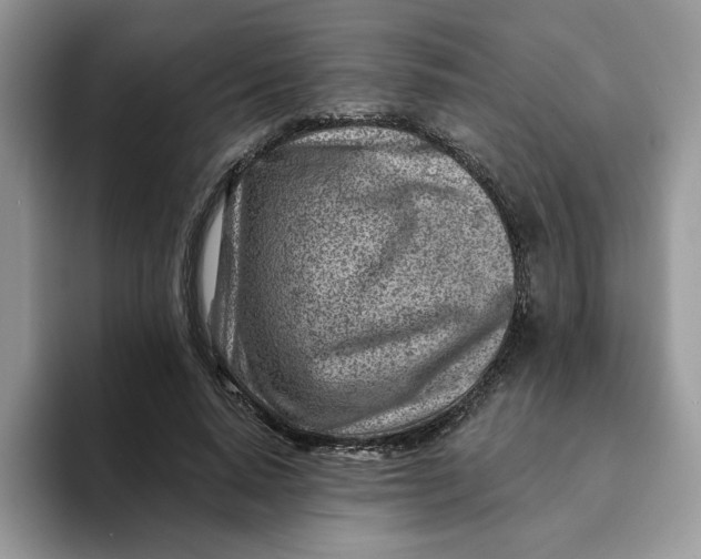 X0000093210640200710171342